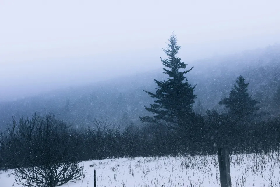 Appalachian Trail Crossing in Monterey, MA | State & County Explorer Demo