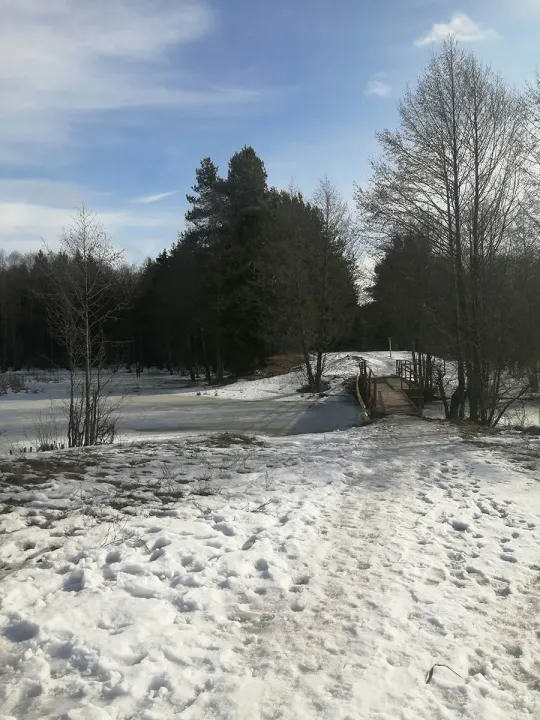 Lulu Brook Appalachian Trail Shelter in New Ashford, MA | State & County Explorer Demo