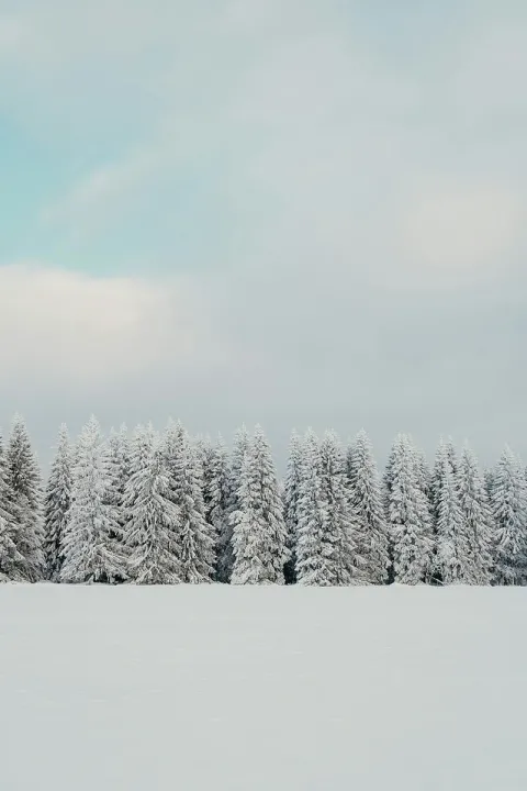Notchview Ski Center in Windsor, MA | State & County Explorer Demo