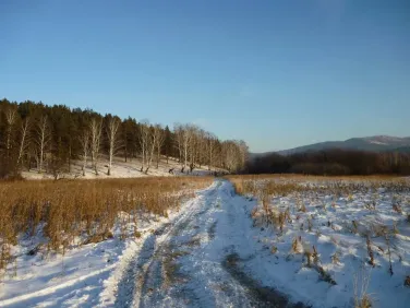 Holmes Road Wildlife Sanctuary, Pittsfield, MA