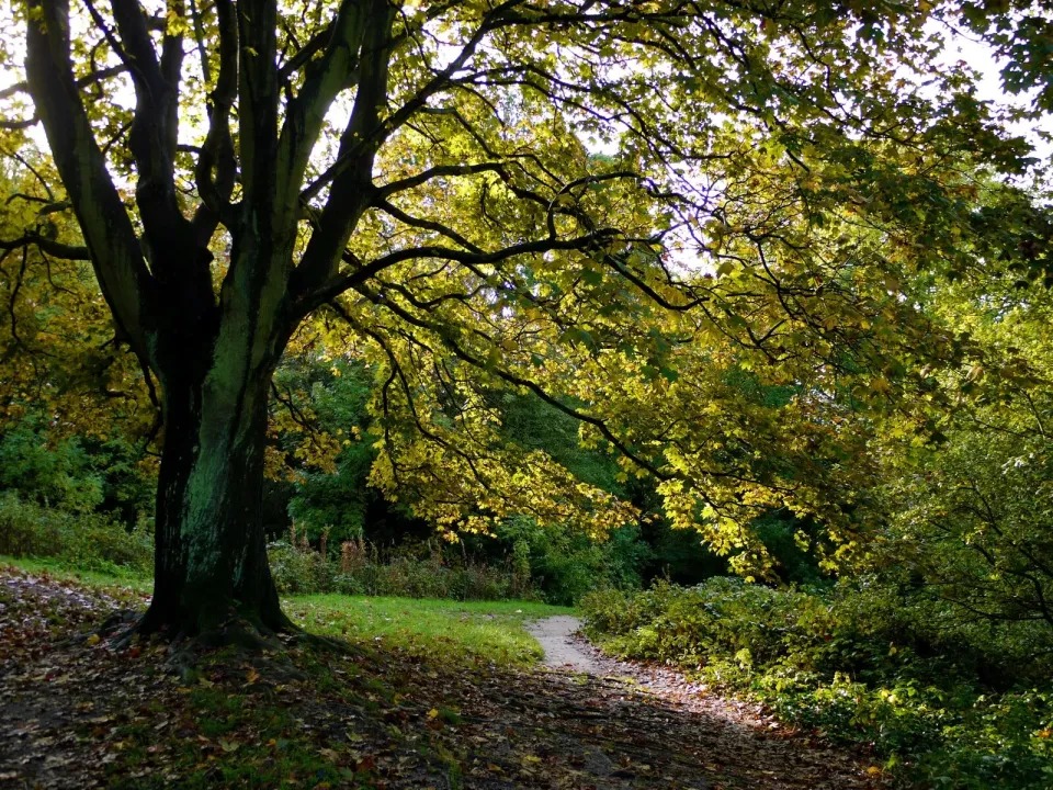 Appalachian Trail Crossing in North Adams, MA | State & County Explorer
