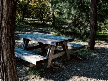 Baldwin Trail, Monterey, MA