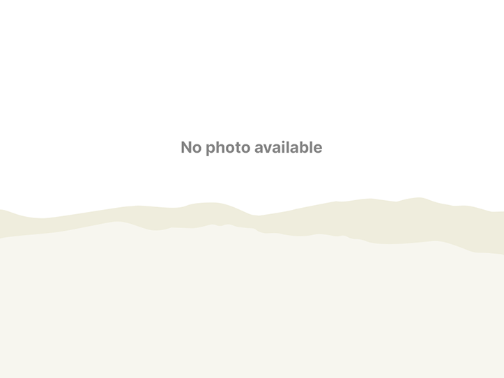 No photo available